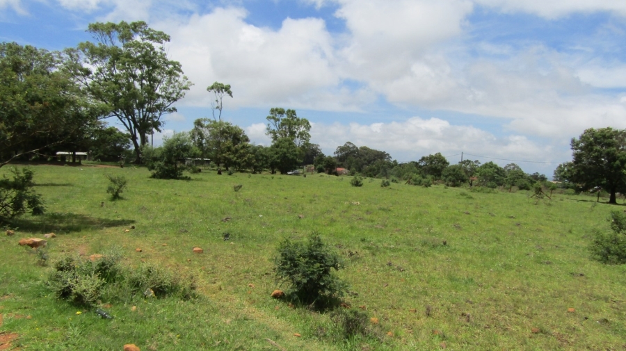 0 Bedroom Property for Sale in Kruisfontein Eastern Cape
